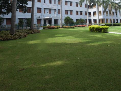 stella maris college quezon city photos|Fees Structure of Stella Maris College, Chennai .
